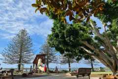 IMG-20240115-WA0020