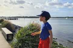 IMG-20240115-WA0029