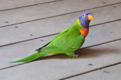 20240120_113742