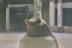 20240122_151338