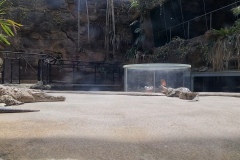 VideoCapture_20240123-154825