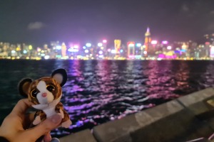 29.12.2023 Eindrücke Hong Kong